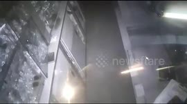 Strange robbery as rat sneaks into jewellery store to steal diamond earstuds