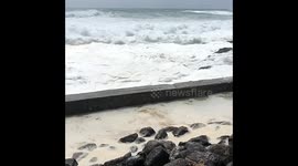 Kids enjoying the Cyclone swell at Snapper