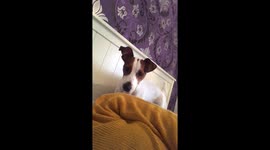 When all you want is a duvet day