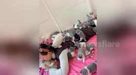 Is this what heaven looks like? Woman lays in bed full of kittens