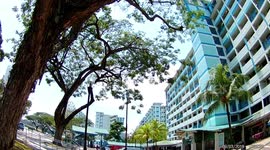 Housing Board Flats