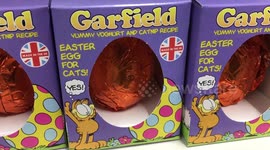 Easter Eggs for cats!