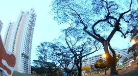 The Iconic Singaporean Dragon Playground