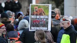 Hundreds march in London to call for enforcement of fox hunting ban