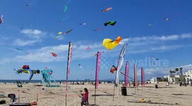 Huntington Beach Kite Flying Festival