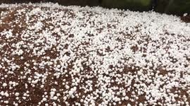 Severe gales pummel parts of UK as super-sized hail hits Oldham