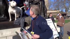 Bull terrier has his Dog's Dinner on the Burghers of Calais sculpture during Wooferendum Brexit Dog's Dinner protest in Victoria Tower Gardens on 10 March 2019