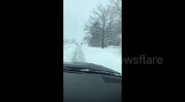 'Amish' skier gets pulled through the snow by horse and carriage