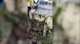 Leopard strays into Indian town, mauls several people before being captured