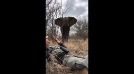 Elephant encounter on foot