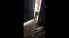 Очень домой хочется!