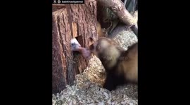 Конкуренция!