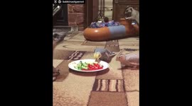 Совместный ужин!