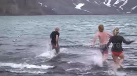 Madness or courage – a Polar Plunge into one-degree Antarctic water??