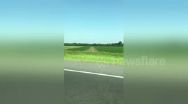 Perfectly planted crop rows create hypnotic optical illusion when driven past