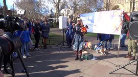 Brexit is a Dog's Dinner Wooferendum celebrates dogs that represent loyalty and solidarity, team work, collaboration and inspiration