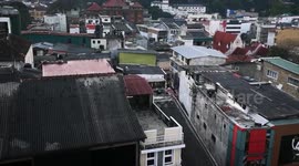 Thousands of birds flying before roosting - Kandy rooftops