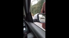 Is this the most British road rage incident ever?