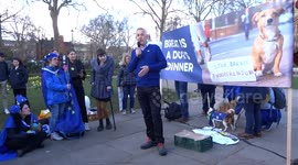 Brexit is a Dog's Dinner Wooferendum says future is bright for People's Vote campaign