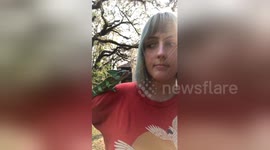 Naughty Chameleon hilariously shocks owner with surprise kiss