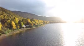 Rainbow trees during beautiful Newfoundland fall