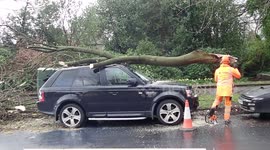 Council Workers Chainsawing a Large Branch Fallen onto and Damaged a Cars Roof
