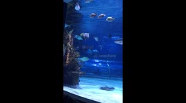 Beautiful view of Tropicarium in Budapest