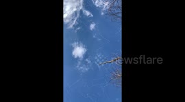 Like diamonds in the sky! Hundreds of snow geese fly over central Pennsylvania