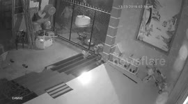 The man climbed the fence to steal the bird