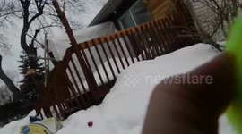 Alaskan Malamute Sojou Squeaky Fetch