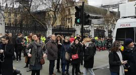 Young Climate Change Protester Shut Down Parliament Square During The #ClimateStrike