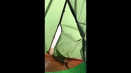 Bugger this. We’re taking our tent and going home. #StormGareth is a chump. https://t.co/KxokSBZlju