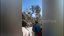 The hills are alive! Landslide footage shows hillside slowly swallow road in north India