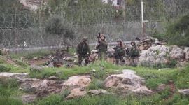 Israeli forces injure 7 Palestinians in protest near Ramallah.