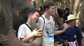 Tourists pose with elephants at festival
