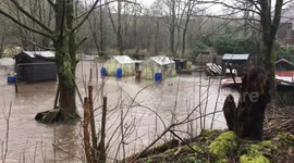 Livestock area flooded