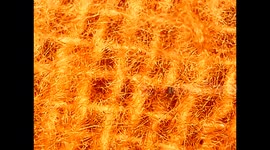 microscopic view of a piece of cotton