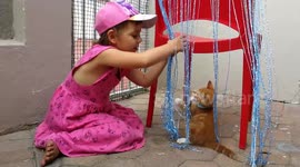 Kitten vs 5 year old in dramatic defeat