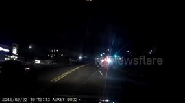 Deer runs into car