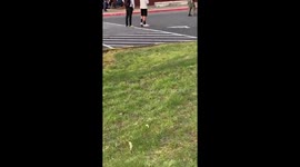 @KATUNews massive arrest and fighting at Gaiser Middle School Vancouver https://t.co/sojUE1NTyv