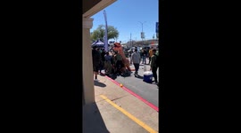 St Paddy's Parade Chaos: T-Rex fights among massive brawl in Dallas, Texas