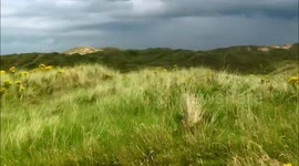 Tracking with Asperger's and ADHD   Part 2