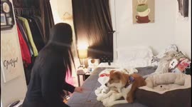 The Leave It Challenge