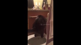 Oliver flushing the toilet