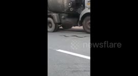 Kind-hearted man stops truck from crushing endangered king cobra on highway