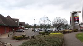 Residents outraged after nets put over trees to stop birds nesting near retail park