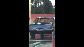 Dog in car wash