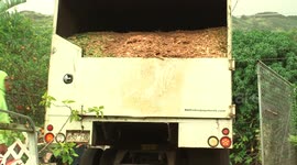 A Truck Dumps Mulch at Farm