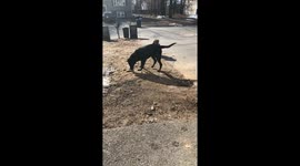 Did you hear that bird?!?