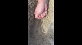 Sand Crab Escapes from mans hand
